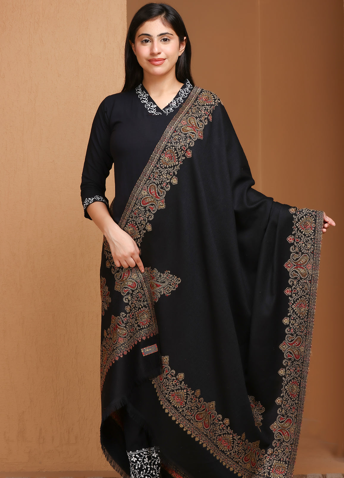 Kani Kunj Kashmiri Paisley Boder Shawl