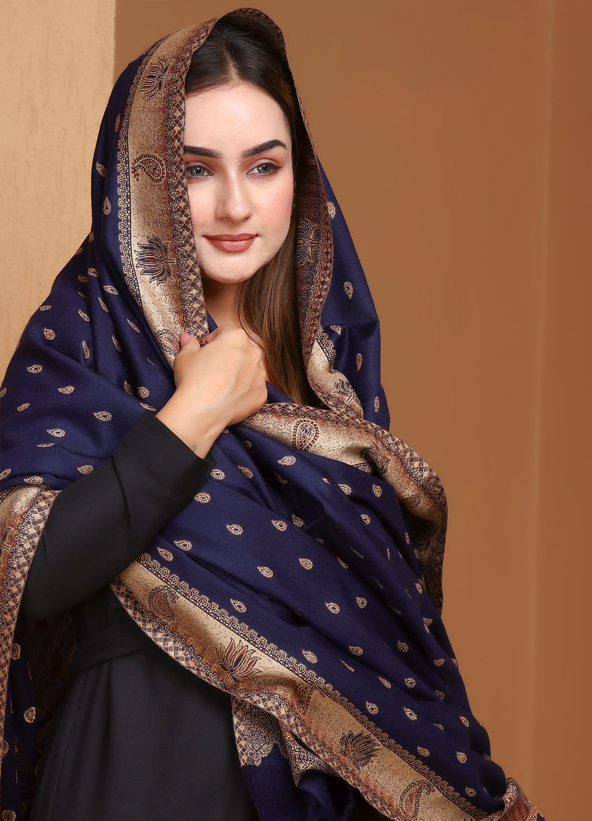 Khaab Pure Kani Border Booti Shawl
